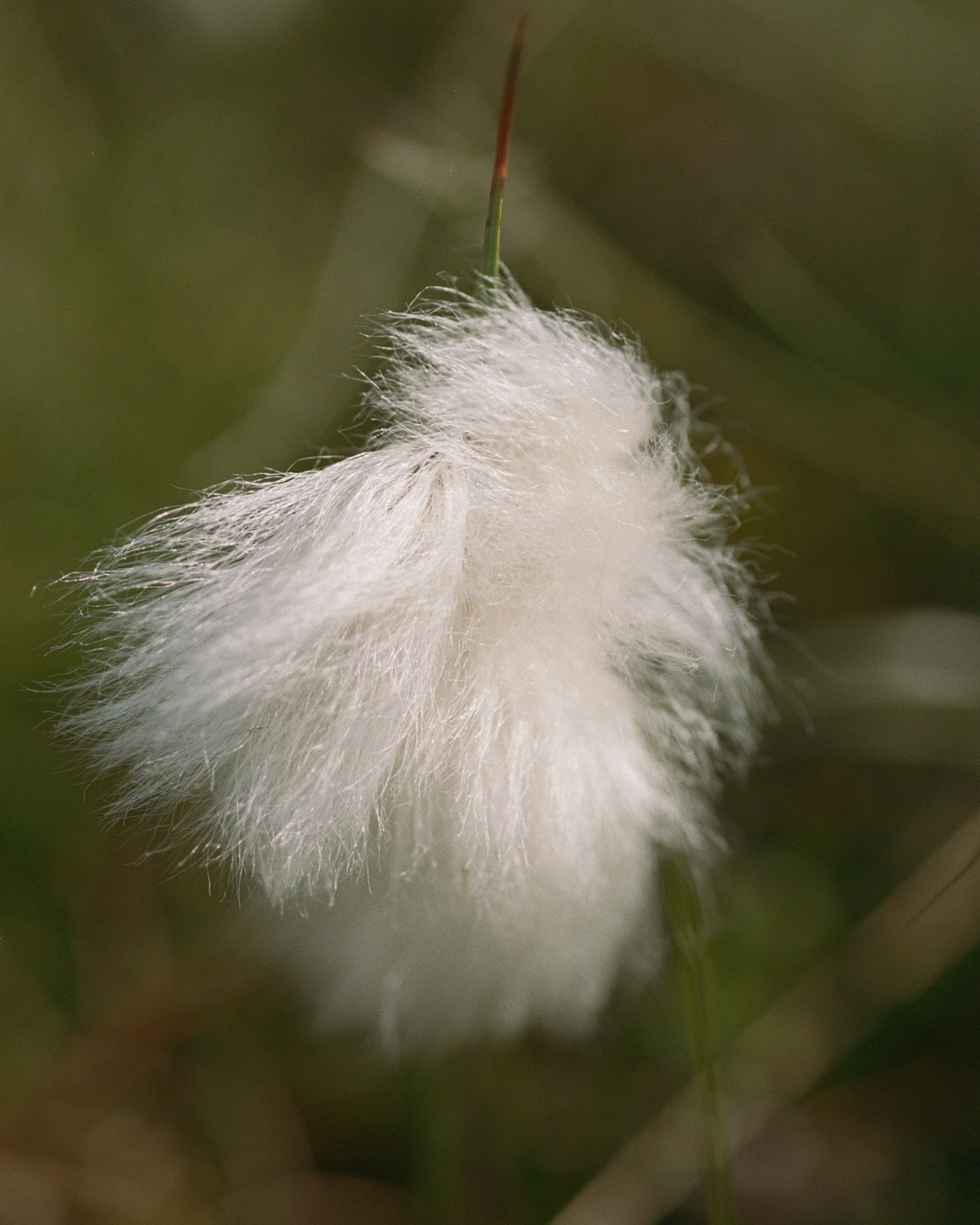 280 Revitalisierende Augencreme
