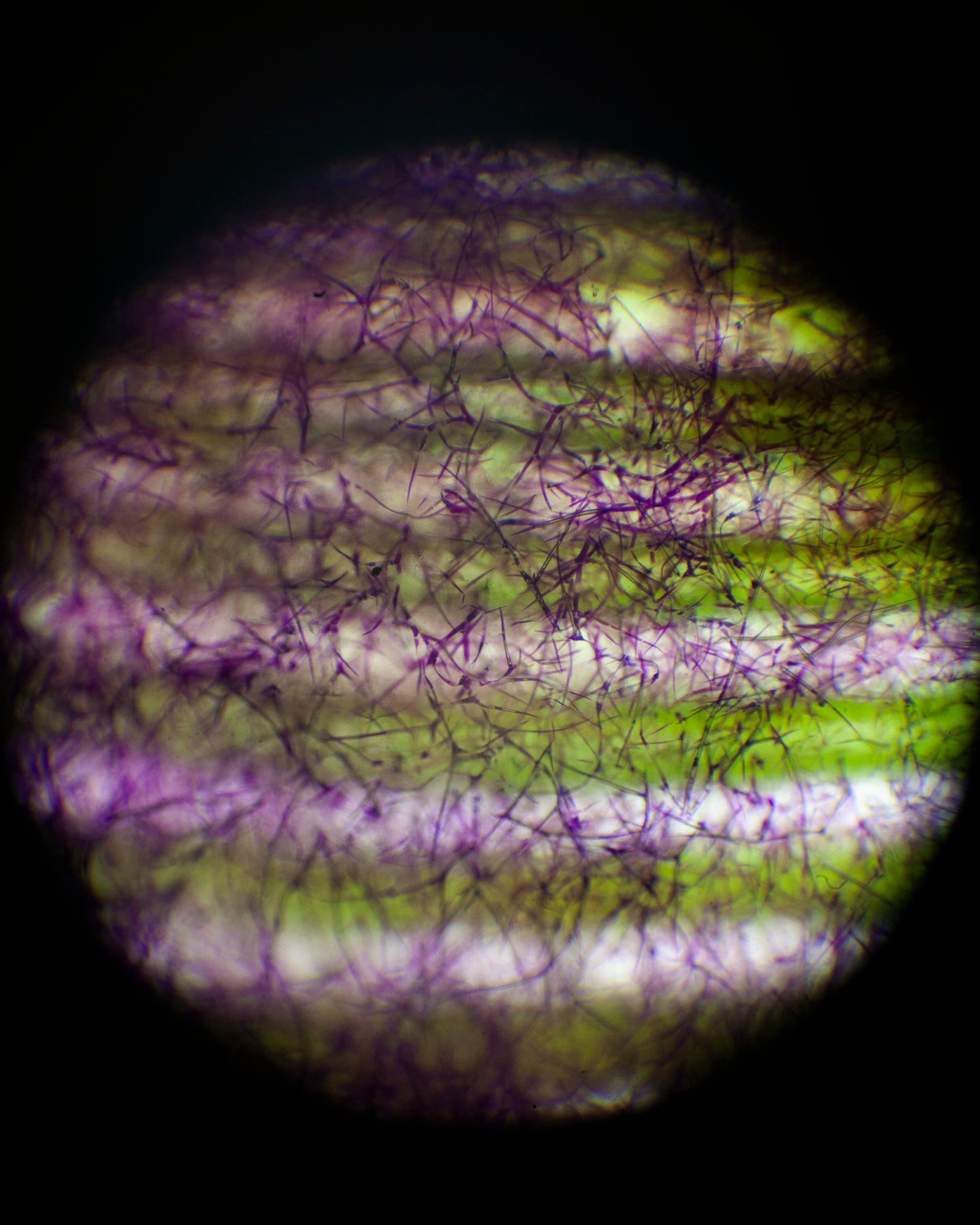 281 Protective Fluid