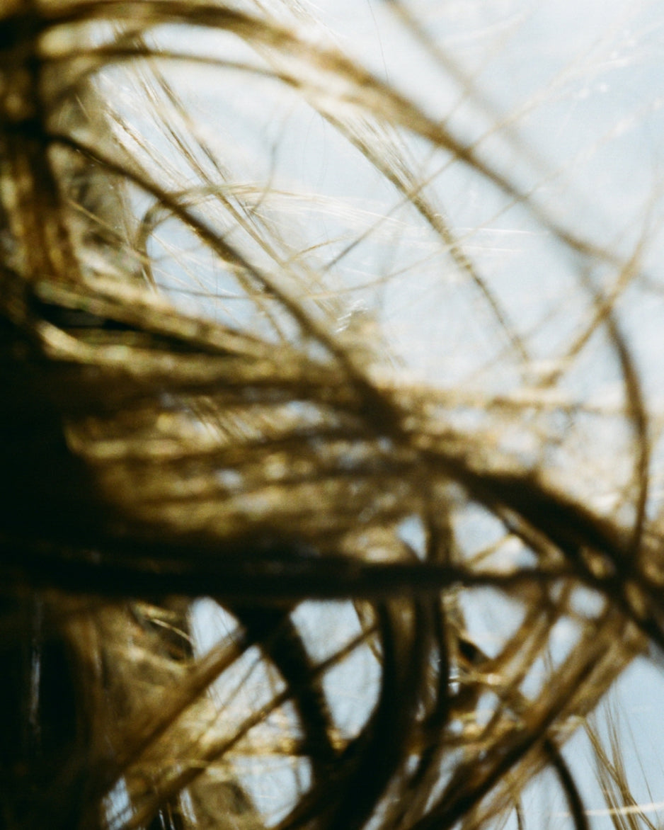 Haarpflege für trockenes Haar