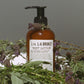 Salvia / Rosmarin / Lavendel Trio Set
