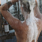 230 Shampooing & 234 Masque pour cheveux