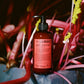 Rhubarb / Geranium Set