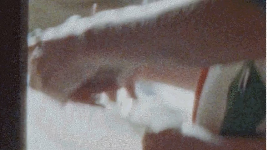 Load video: <p><span class="metafield-multi_line_text_field">Renewing Hand Serum<br />
Apply one pipette to the back of the hands and massage gently. This will repair, replenish and strengthen the skin.<br />
<br />
Hand Cream Elder<br />
Apply a small amount to the back of the hands and massage into palms, fingers and cuticles. </span></p>