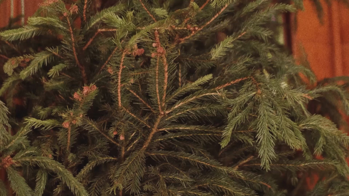 Load video: <p><span class="metafield-multi_line_text_field">Hang in a closet, bathroom, car, or any small space for optimal scent diffusion. Avoid direct contact with fabric, paper, or plastic.</span></p>