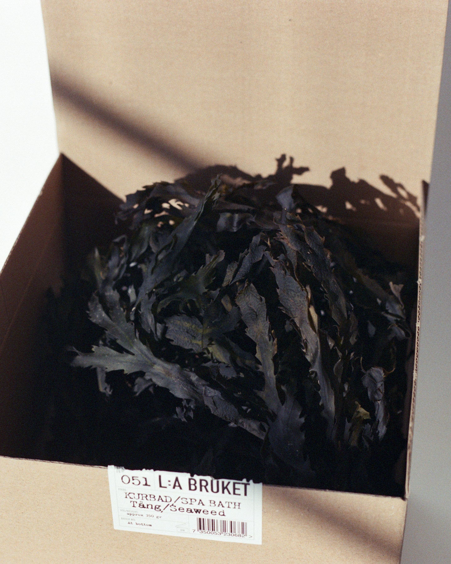 051 SPA Bath Seaweed